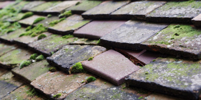 Oving roof repair costs